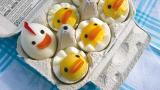 Piou piou petits poussins !